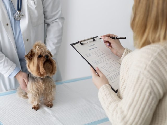 Pet Insurance & Veterinary Costs: What Coverage Typically Includes & When It’s Worth It